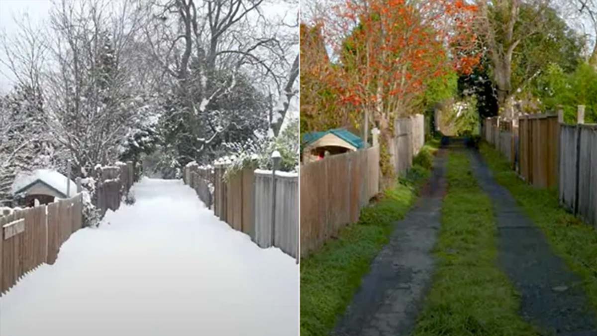 Time-Lapse Video Depicting All Four Seasons in Canada