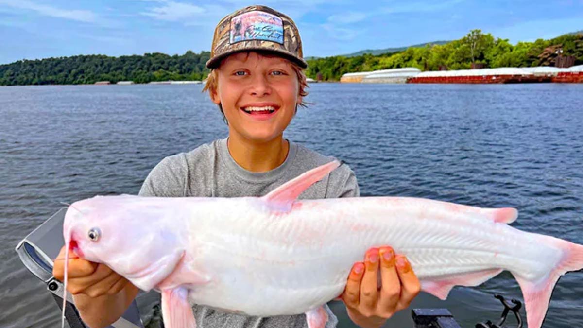 A 15-Year-Old Boy Catches a Extremely Rare All-White Catfish