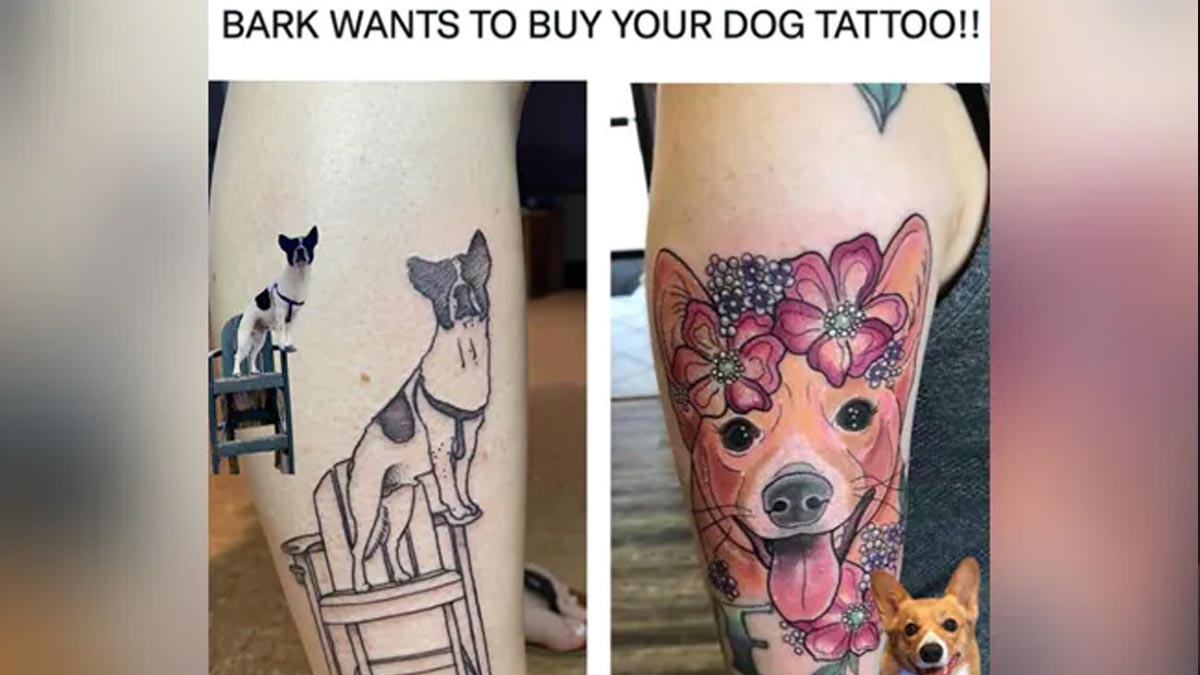 This Company Pays Pet Owners to Have their Dog Tattooed