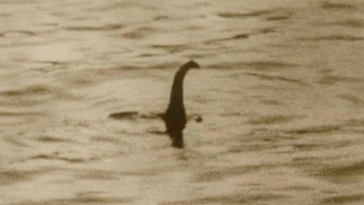 Live Stream Captured the Loch Ness Monster